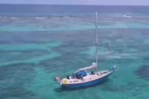 San Pedro: Avventura di snorkeling/Aggiungi un soggiorno a Cozy Caye Casita