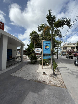 Belize Wellness