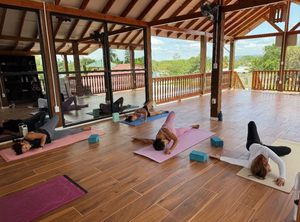 Black Orchid Wellness