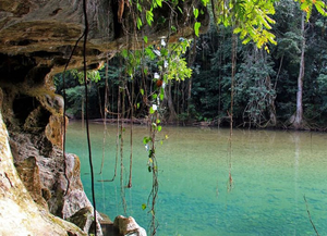 Bladen Natural Reserve