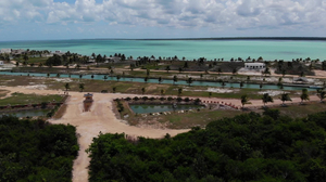 Cerros Sands