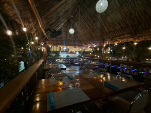 Coconut Paradise Restaurant and Bar