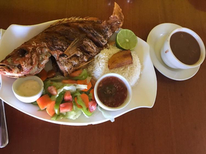 Come N Dine
