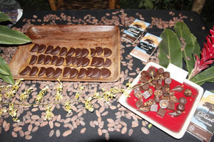 Cotton Tree Chocolate