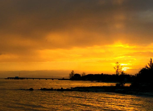 Dangriga