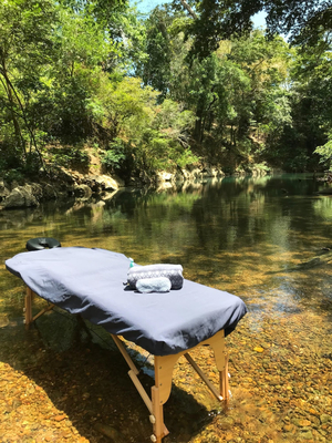 Flo On The Go Massage Therapy
