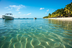 Half Moon Belize