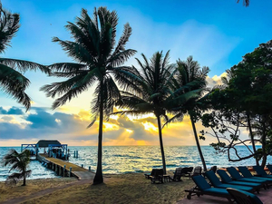 Hamanasi Resort