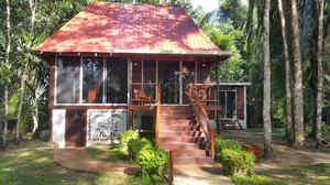 Kiki Witz Resort