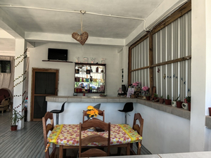 Mia Haven Restaurant
