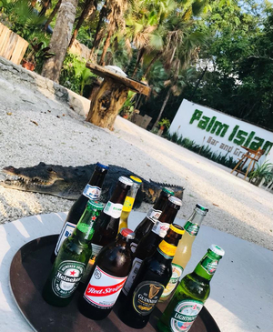 Palm Island Bar & Grill