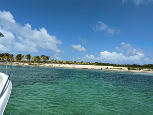 Plajă Sălbatica Caye Caulker