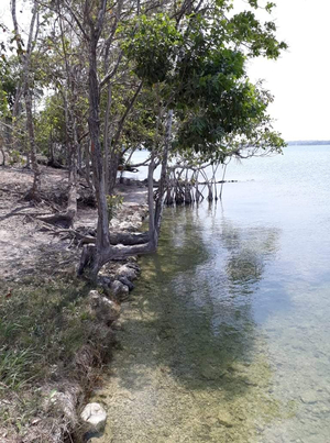 Playa De Menono