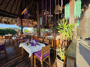 Purple Pelican Restaurant