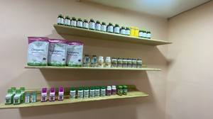 Reef & Root Wellness