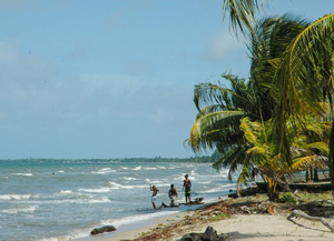 Seine Bight