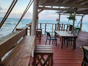 Swinging Armadillo Beach Bar and Grill