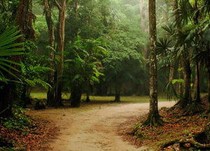 Sarstoon Temash National Park