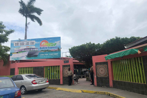 Encuentro con los Tiburones Ballena en Belice: Nada con los Gigantes Gentiles