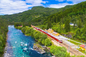 Bergen: Flåm Railway, Nærøyfjord Cruise & Stegastein View