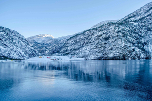 Bergen: Mostraumen Fjord Cruise with Local Guide