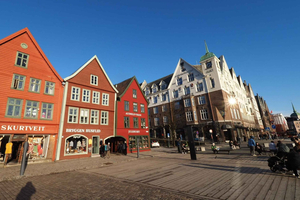 Bergen: Privat rundvisning på dit eget sprog