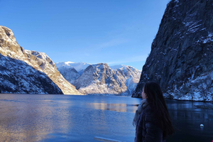 Tour privato di Nærøyfjord con Stegastein e Flåmsbana