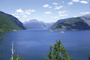 From Bergen: Private Trip to Hardangerfjord