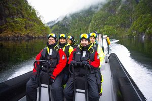 Da Norheimsund: safari in RIB sull'Hardangerfjord tutto l'anno