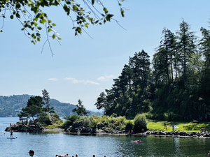 Grønevika badestrand