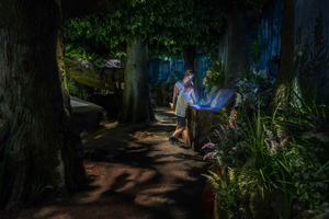 Berlin: Deutschlandmuseum - Flexible Entrance Ticket