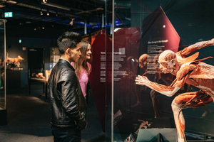 Berliini: Liput BODY WORLDS -museoon Berliinissä