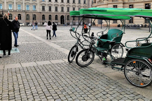 Private (Multi) Rickshaws with Pick-up Hotel