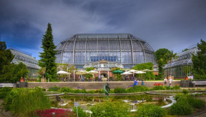 Jardin botanique de Berlin