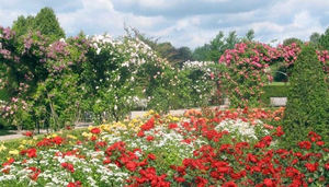 Britzer Garten