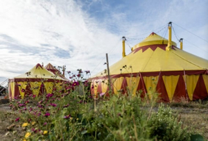 Cabuwazi Circus