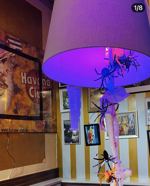 Fritz Lounge