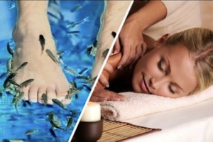 LAKANA Thai - Massage & Fish Spa Berlin Klimatisiert!!! Nähe Alexanderplatz am Volkspark Friedrichshain Prenzlauer Berg