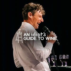 Le Guide de l'Idiot du Vin