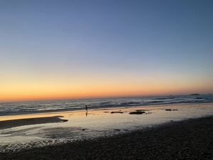Marbella Surf Club