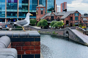 Birmingham History Tour