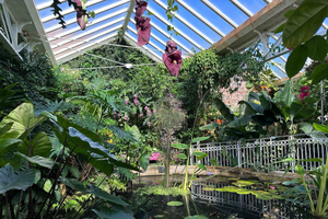 Botanical Gardens Entry Ticket
