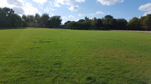Sedgemere Sports & Social Club