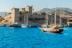 Tour misto di Bodrum Cleopatra e dell'isola di Orak in barca