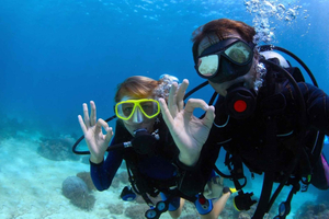 Bodrum: tour di immersioni subacquee di un giorno intero