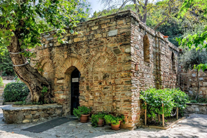 Ephesus Day Tour