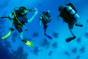 Desde Buceo en el mar Egeo