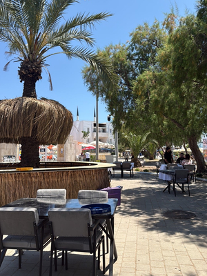 10Gri Bodrum
