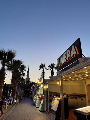 Almera Restaurant&Beach Bi̇tez