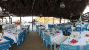 Aquarium Gumusluk